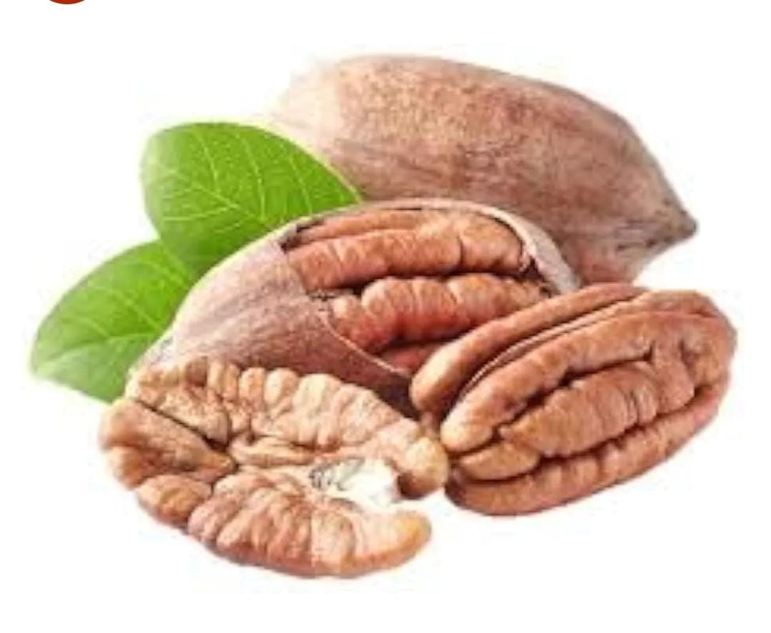 pecan nut